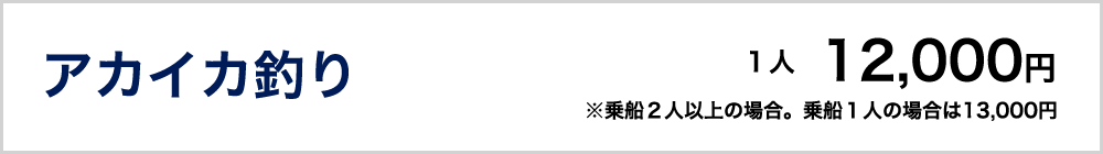 アカイカ釣り　12000円（乗船２人以上の場合）　　※乗船１人の場合は13000円