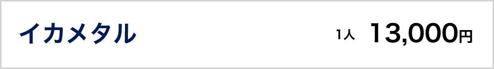 イカメタル　13,000円